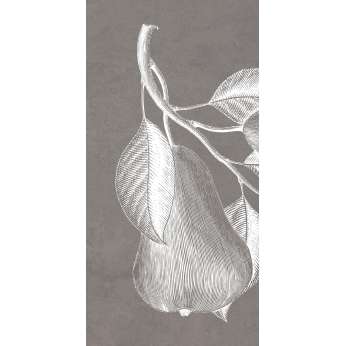Керамогранит MaxFine by Iris FMG Design Your Slabs Pears White