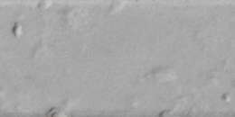 Graystone