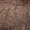 WAVE Fondo Naturale Decoro Radica 30,5x30,5