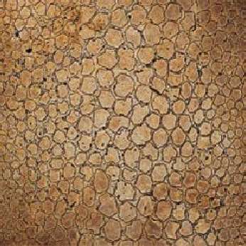 Мрамор Petra Antiqua Lacche 1 MAKU Fondo Naturale Decoro Travertino Noce 30,5 x 30,5