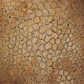 Мрамор Petra Antiqua Lacche 1 MAKU Fondo Naturale Decoro Travertino Noce 30,5 x 30,5