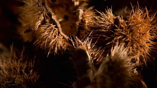 Интерьер 50271