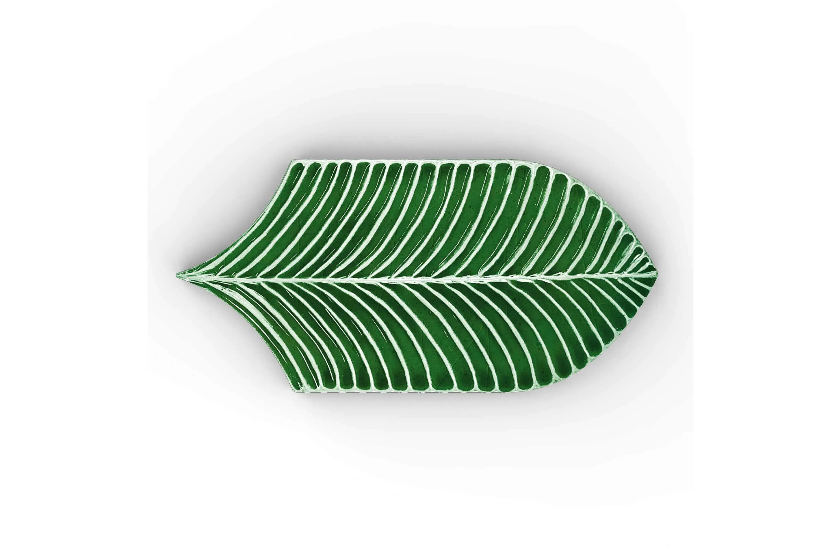Керамогранит AcquarioDue Calathea Lucida Verde Prato