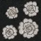 Rose di paestum d