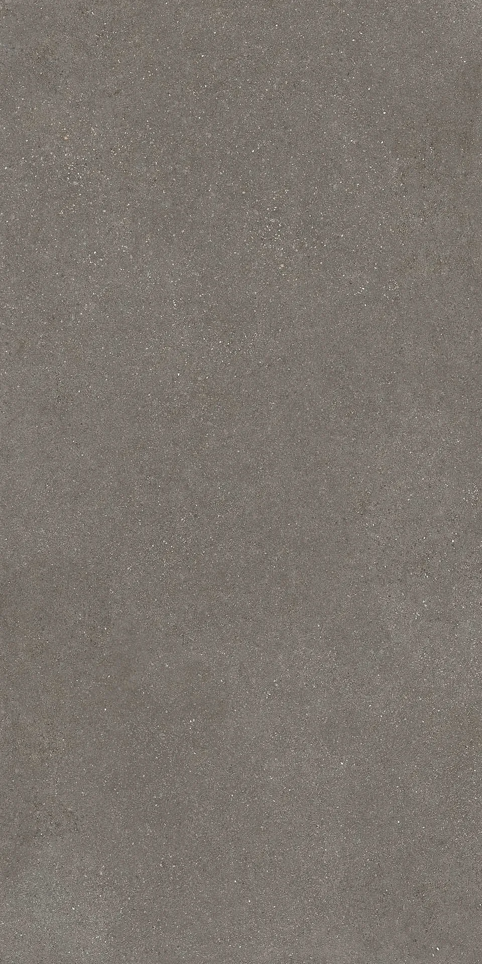 Керамогранит Cedit Compatta Ghiaia