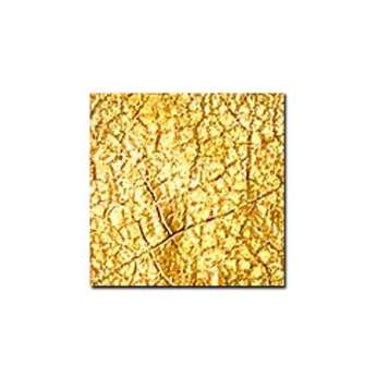 Керамогранит Pecchioli Firenze (Пеккиоли Фирензе) Cotto Del Mugello Uniti Oro