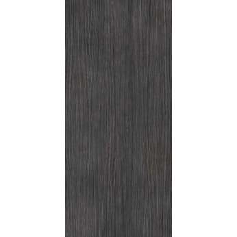Plank 06