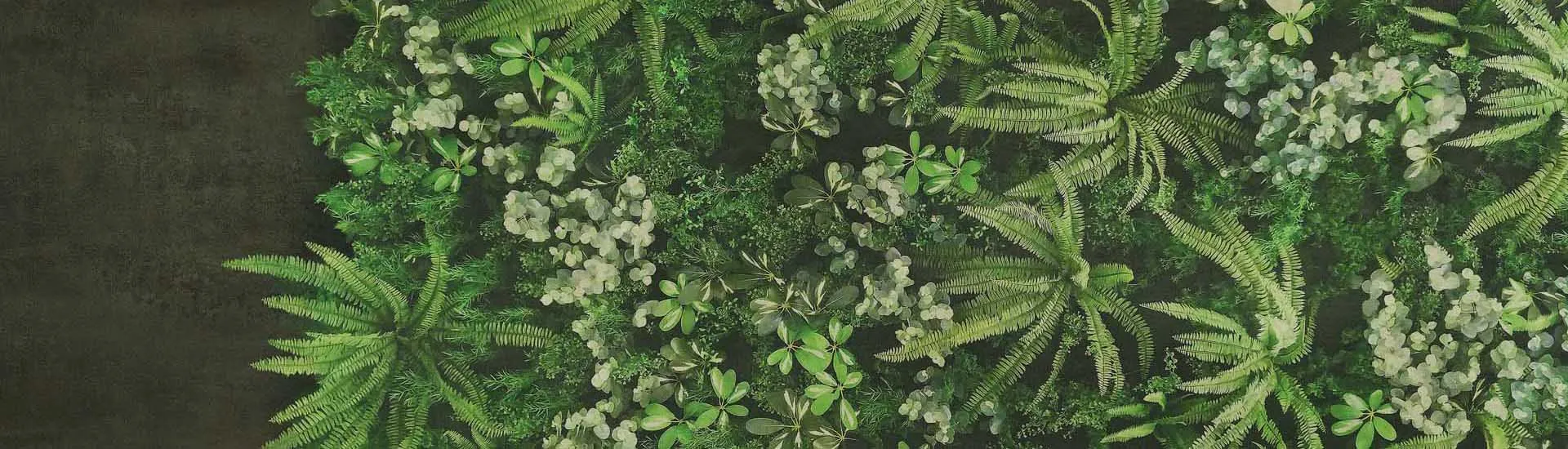 Керамогранит ABK Wide & Style Secret Garden Wall