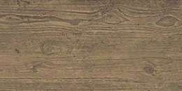 Brown Chestnut