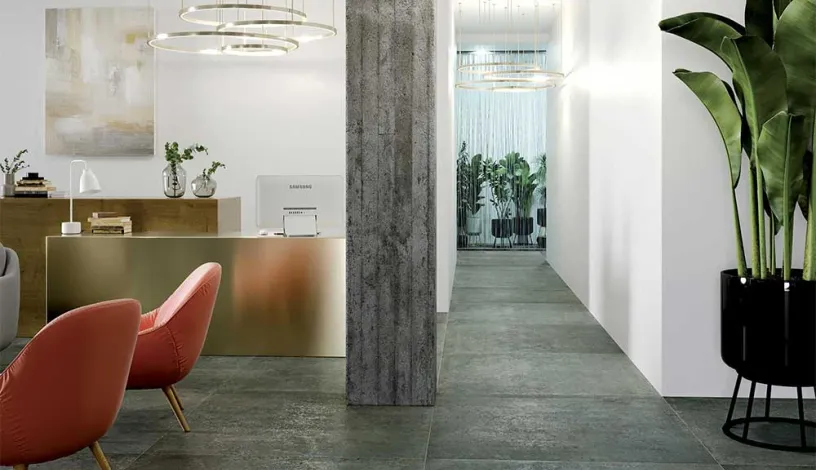 Studio 50 - Cir Serenissima