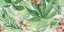 Rainforest A