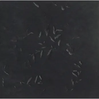 Керамогранит Mutina Chymia Impronta black