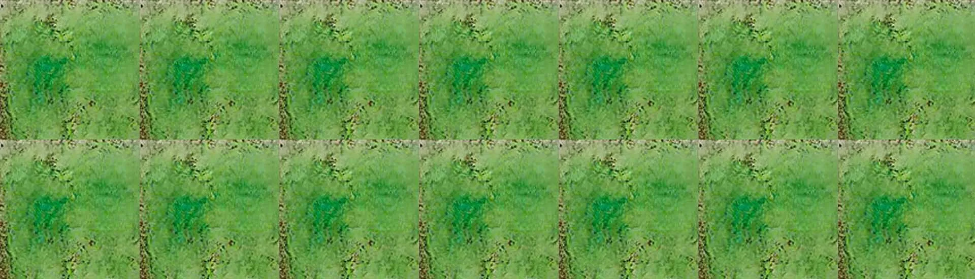 Керамогранит Pecchioli Firenze (Пеккиоли Фирензе) Cotto Del Mugello Verde Mela