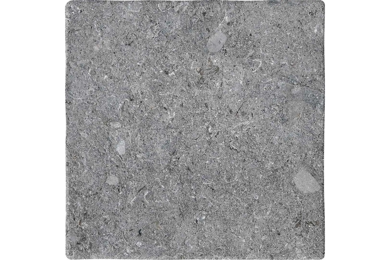 Керамогранит Terratinta Ceramiche Vicentina XXS Cenere