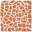 Mosaico Lucida Corallo