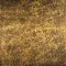 STAR Fondo Travertino Chiaro Decoro Oro 30,5 x 30,5