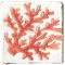 Decoro Corallo Rosso S/2 10x10 2