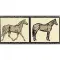 Horses Su Crema (Хорсес Су Крема)