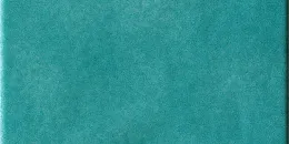 Menta