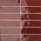 Vivid Ruby (Вивид Руби)