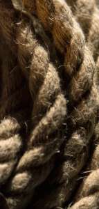 Интерьер 50203