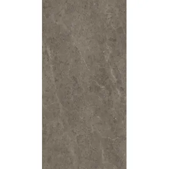 Керамогранит Sapienstone by Iris Group Sapienstone Grigio Savelli