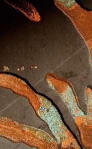 Интерьер 48612