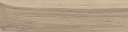 Beige Digue