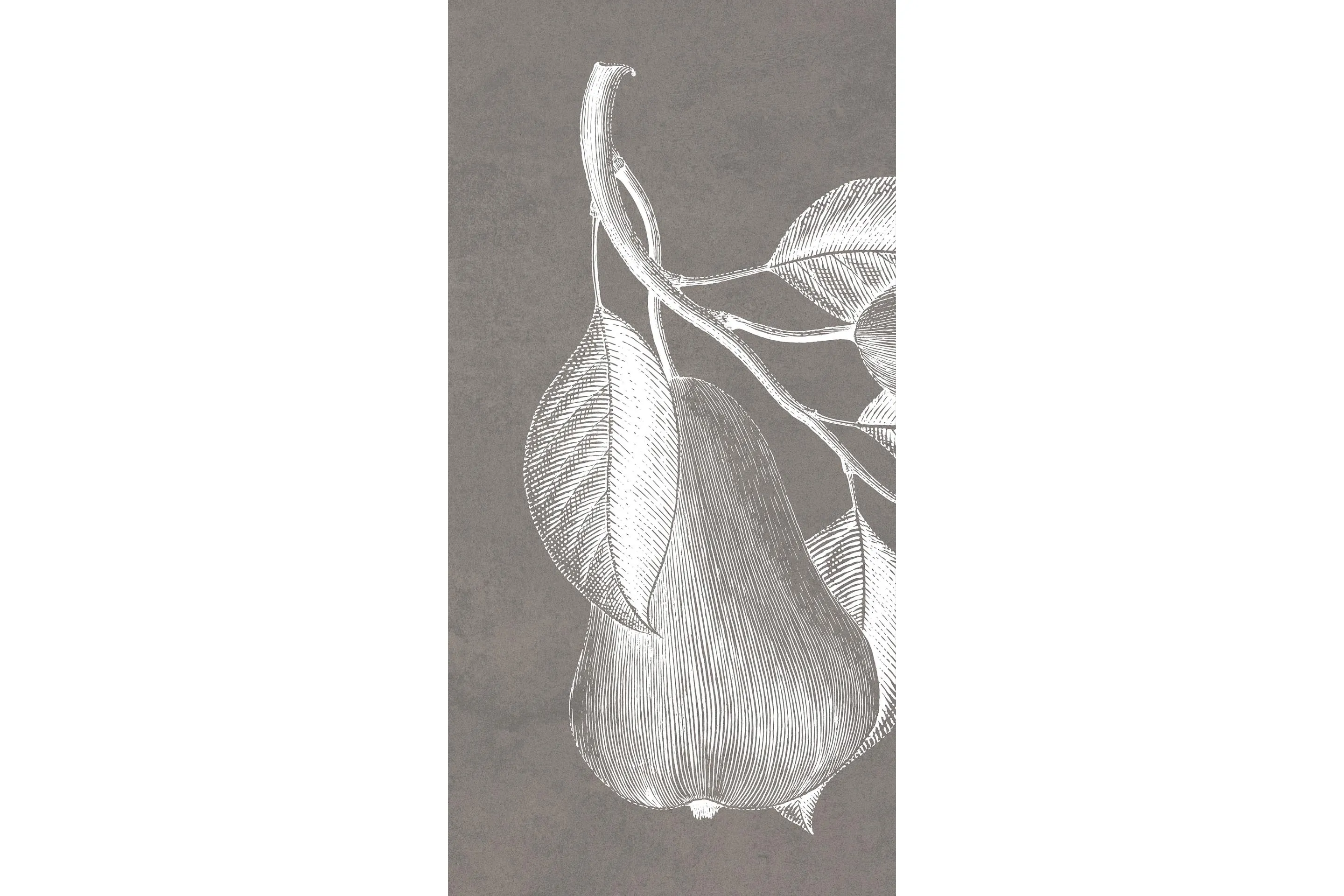 Керамогранит MaxFine by Iris FMG Design Your Slabs Pears White