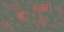 Forest B