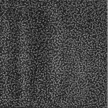 Керамогранит Cerasarda Porto Rotondo Galuchat Carbone