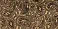 paisley 30,5x60 nero marquinia