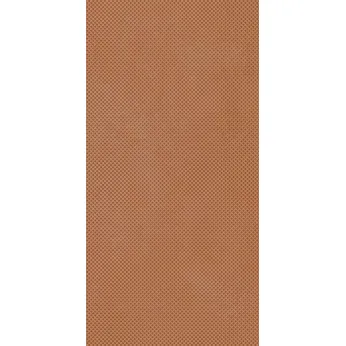 Керамогранит Imola Ceramica Retina Arancio Pat
