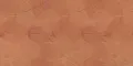 Leaves Outback 60x120 (Ливс Аутбэк 60x120)