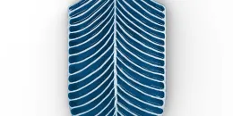 Lucida Blu Elettrico