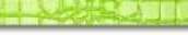 Listello Green Crocojoy 3.8x72