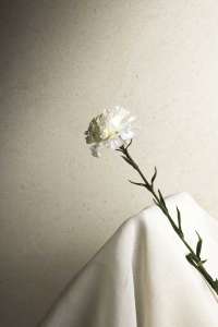 Интерьер 3340201