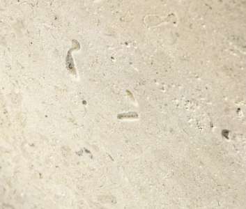 Интерьер 50112