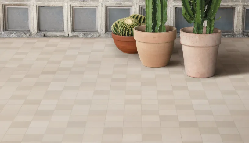 Mews - Mutina