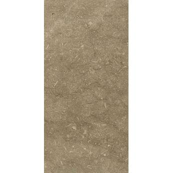 Мрамор Petra Antiqua Evolution 2 fossil azul