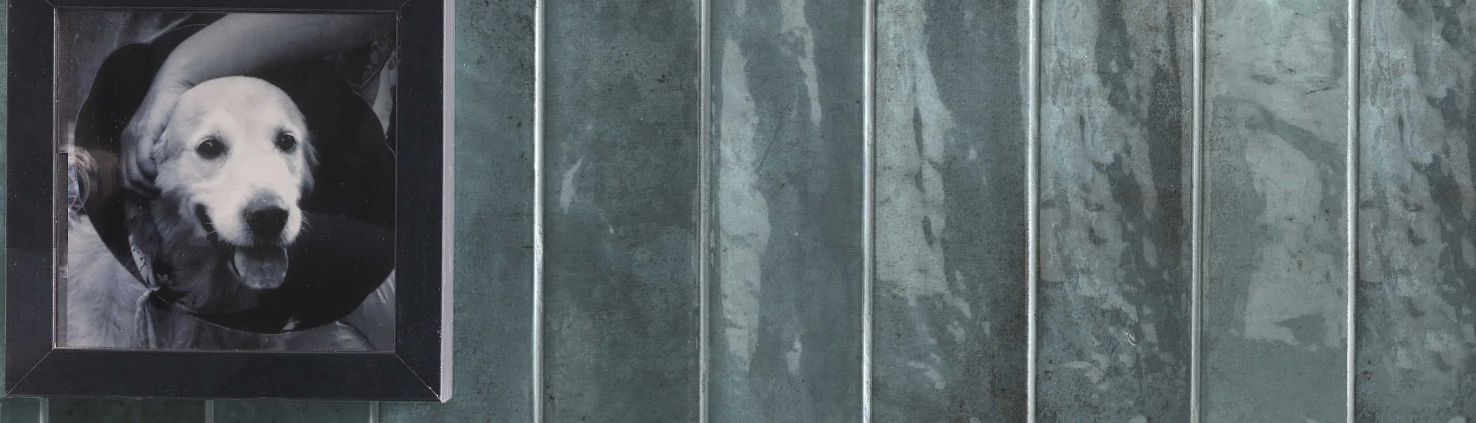 Керамогранит Tonalite Foliage Blu