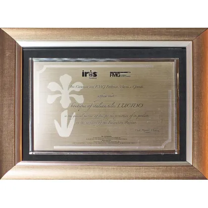 Диплом от Iris Ceramica/FMG