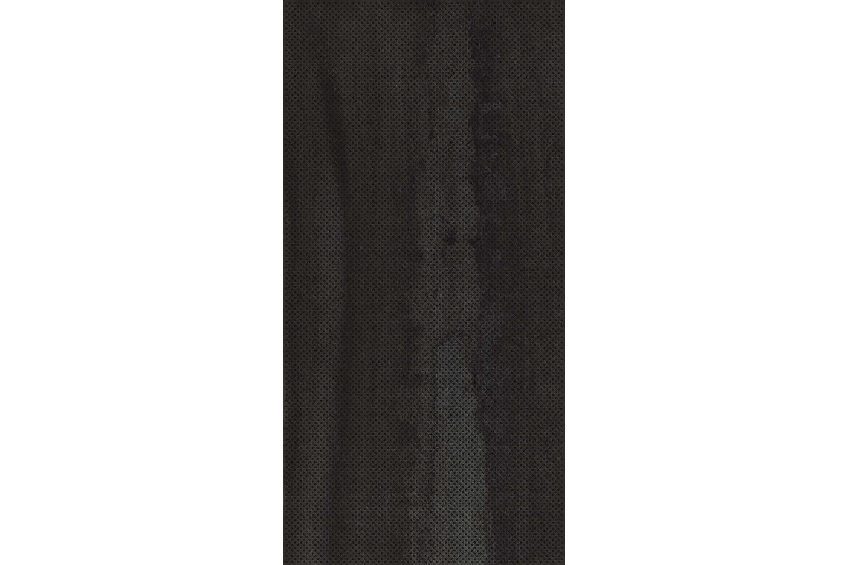 Керамогранит Viva Made by Emil Group Metallica Dark Metalriddle