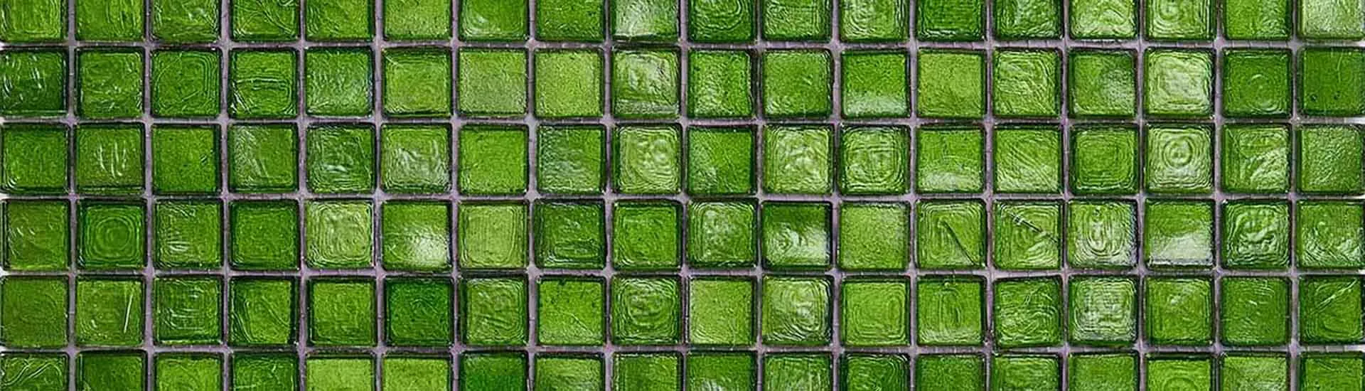 Мозаика Sicis Colibri Vorgan 2