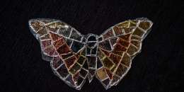 Mariposa 08 - Option A