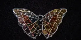 Mariposa 08 - Option A