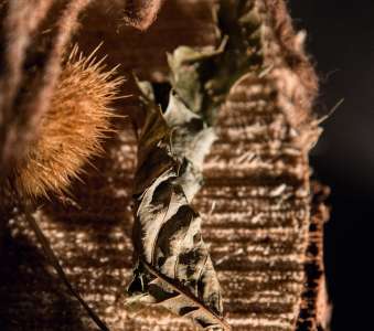 Интерьер 50270