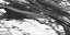Calacatta Renoir Bookmatch A