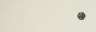 Decoro Point Ivory/Brown Crococlassic