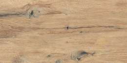 Scottish Oak